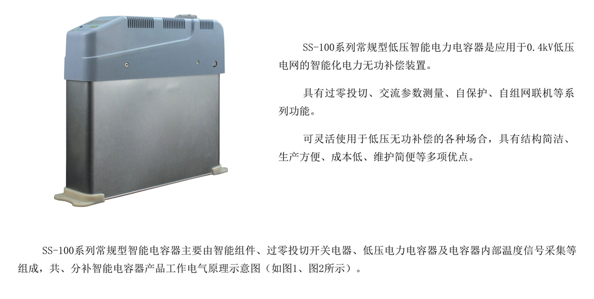 SS-100系列常規(guī)型智能電容器介紹